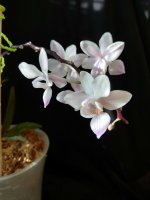 IMG_20260325_163637.jpg IMG_20260325_163637.jpg