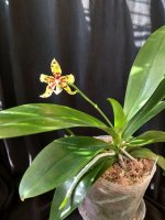 IMG_20260325_164608.jpg IMG_20260325_164608.jpg