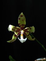 IMG_20260325_164639.jpg IMG_20260325_164639.jpg