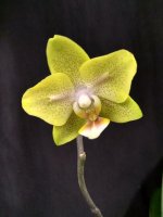 IMG_20260328_002933.jpg IMG_20260328_002933.jpg