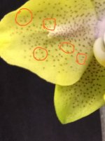 IMG_20260328_033042.jpg IMG_20260328_033042.jpg