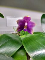 IMG_20260328_173425.jpg IMG_20260328_173425.jpg