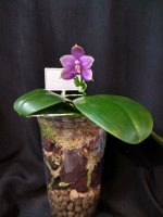 IMG_20260328_173911.jpg IMG_20260328_173911.jpg