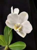 IMG_20260403_004839.jpg IMG_20260403_004839.jpg