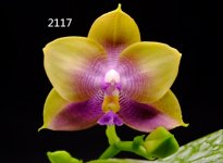 IMG_20260403_222404.jpg IMG_20260403_222404.jpg