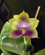 IMG_20260402_234047.jpg IMG_20260402_234047.jpg