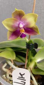 IMG_20260402_233609.jpg IMG_20260402_233609.jpg