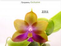 IMG_20260403_222457.jpg IMG_20260403_222457.jpg