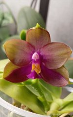 IMG_20260402_230414.jpg IMG_20260402_230414.jpg