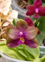 IMG_20260402_231812.jpg IMG_20260402_231812.jpg