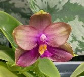 IMG_20260402_232118.jpg IMG_20260402_232118.jpg