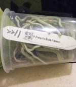 IMG_20260402_231148.jpg IMG_20260402_231148.jpg