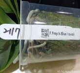 IMG_20260402_234240.jpg IMG_20260402_234240.jpg