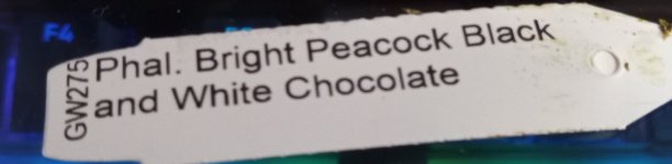 IMG_20260409_144450_702 (1).jpg