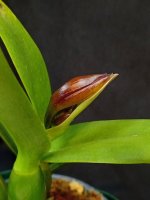 IMG_20260414_231552.jpg IMG_20260414_231552.jpg