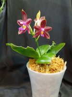 IMG_20260414_231022.jpg IMG_20260414_231022.jpg