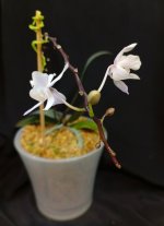 IMG_20260414_235955.jpg IMG_20260414_235955.jpg