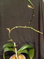 IMG_20260508_183013.jpg