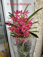 IMG_20260508_201036.jpg