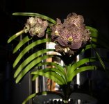 DSC_0840.JPG