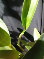 IMG_20260518_141937.jpg