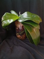 IMG_20260602_145911.jpg
