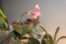 IMG_20260604_001124_042.jpg