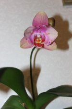 IMG_20260604_001124_063.jpg