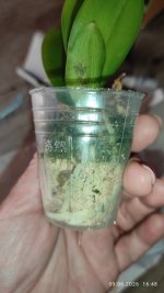 IMG_20260609_164841.jpg