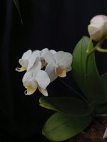 IMG_20260610_192644.jpg