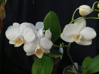 IMG_20260610_193004.jpg