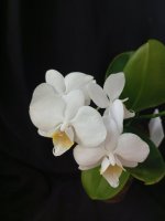 IMG_20260610_192551.jpg