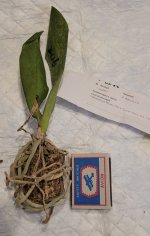 20260702_201111.jpg