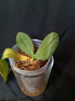IMG_20260714_004455.jpg