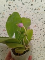 IMG_20260805_223804.jpg