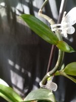 IMG_20260809_162715.jpg