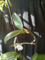 IMG_20260809_162658.jpg