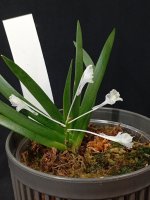 IMG_20260818_175648.jpg