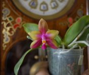 DSC_0139.JPG