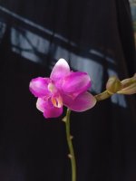 IMG_20260904_161200.jpg