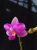IMG_20260904_162313.jpg