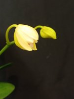 IMG_20260912_205306.jpg