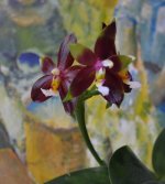 DSC_0347.JPG