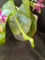 IMG_20261003_172423.jpg