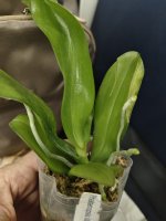 IMG_20261023_185531.jpg