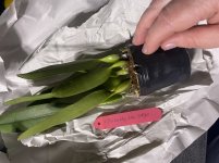 IMG_2054.jpeg