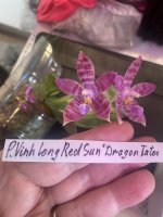IMG_1911.jpeg