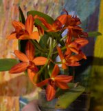 DSC_0431.JPG