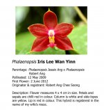 Phal-Iris-Lee-Wan-Yinn--OSSEA.jpg
