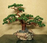 10bonsai-skala.jpg